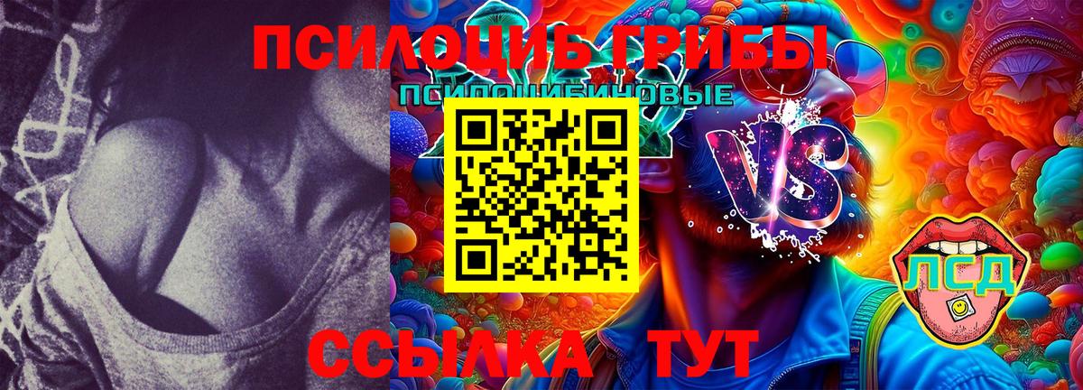 Галлюциногенные грибы ЛСД  Галлюциногенные грибы Psilocybine cubensis  Вход с VPN  Бор 