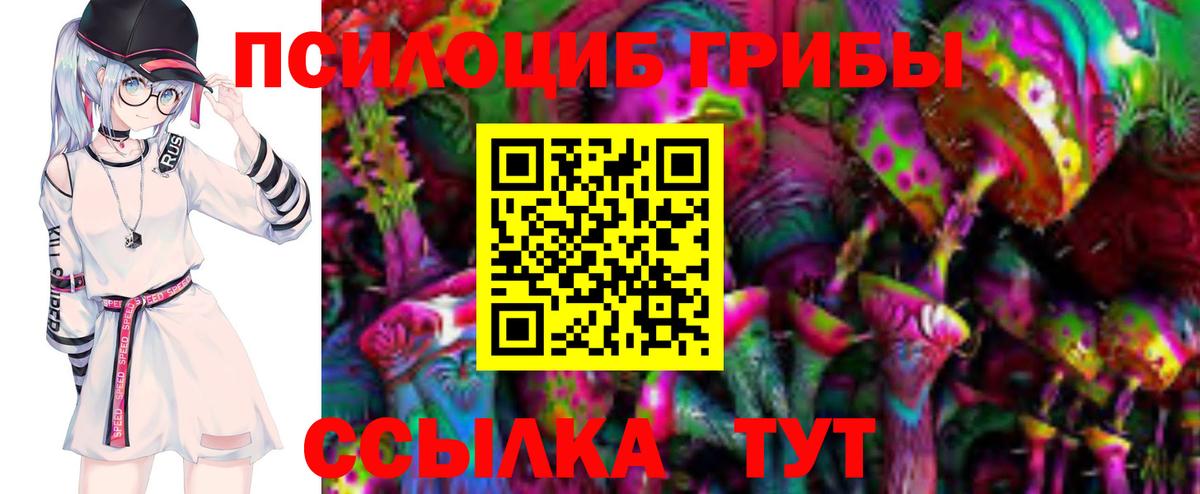 Псилоцибиновые грибы Psilocybe Бор